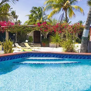 House Aruba Aruba